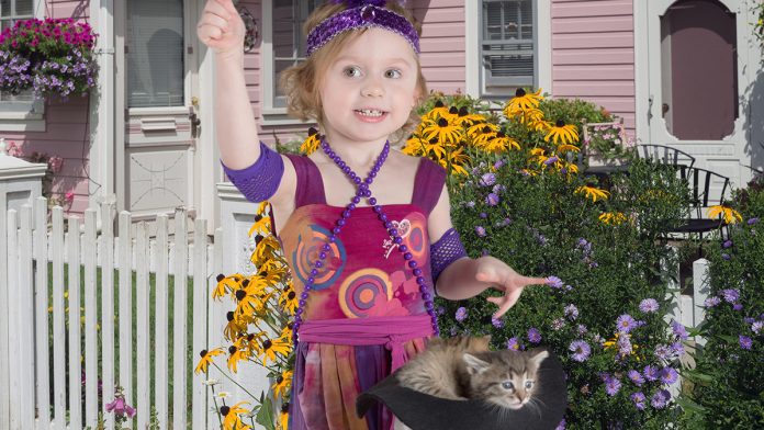 Samantha Dogglin of Truckee, CA named her new kitten "Parvo."