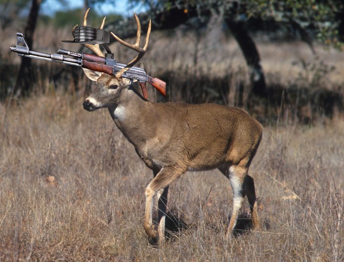 Artist's rendition of Nevada County's armed deer population.