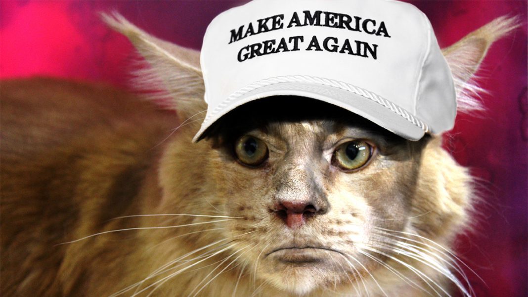"I've buried stuff in my litter box that smelled better and was smarter than Donald Trump." -- Mr. Whisker Bottoms