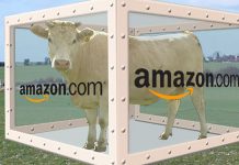 Artist's rendition of Amazon's "Cow in a Box" Prime Pantry offering